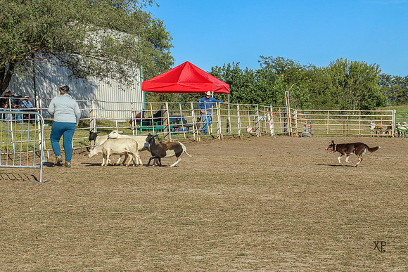 3C9A8482