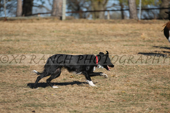 XP140722_145_2015
