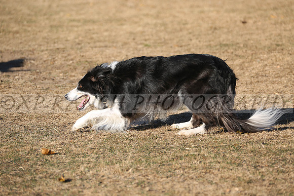 XP140811_212_2015