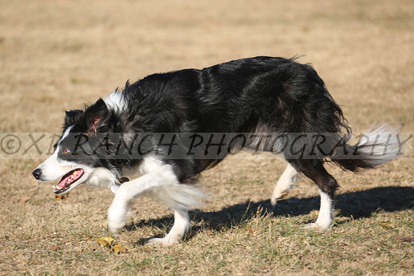 XP140794_195_2015