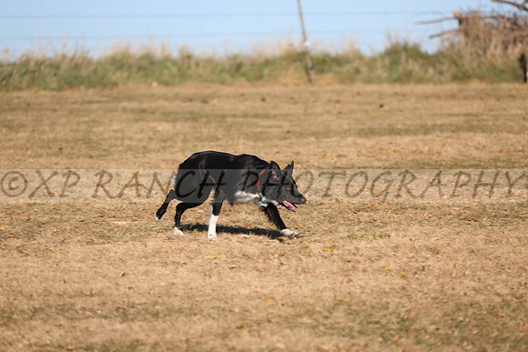XP140717_140_2015