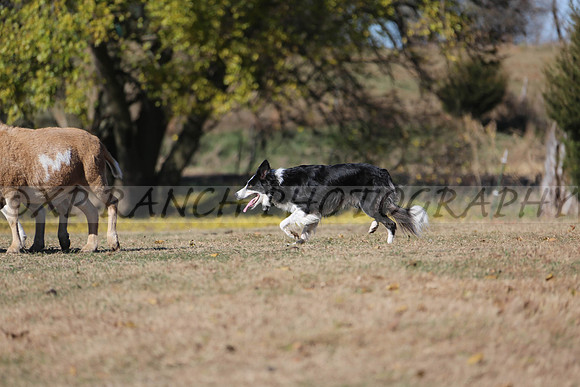 XP140593_117_2015