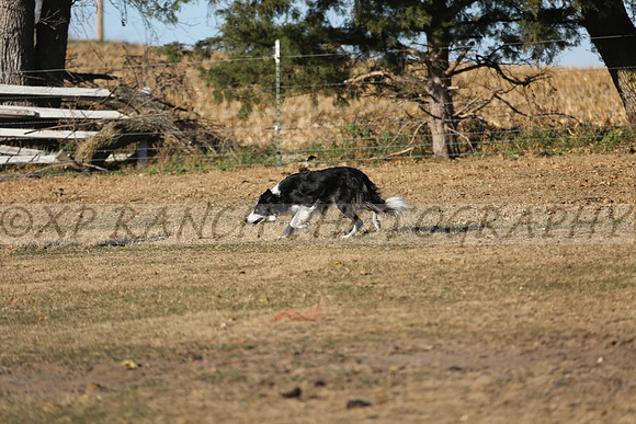 XP140759_160_2015