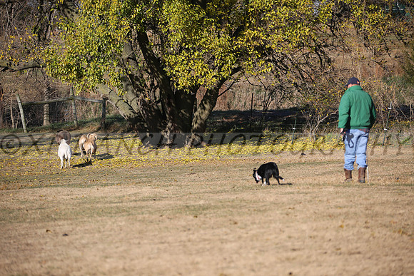 XP140414_17_2015