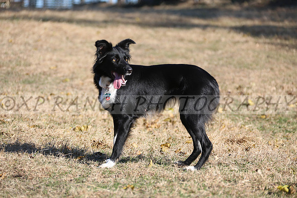 XP140405_8_2015