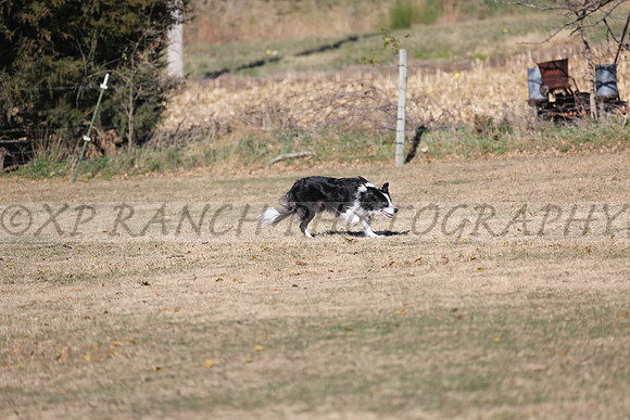 XP140524_48_2015