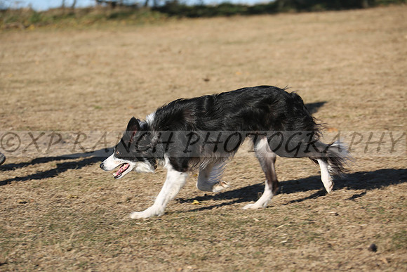 XP140796_197_2015