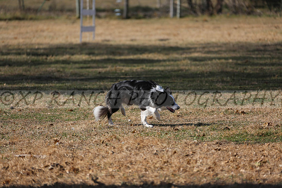 XP141396_260_2015