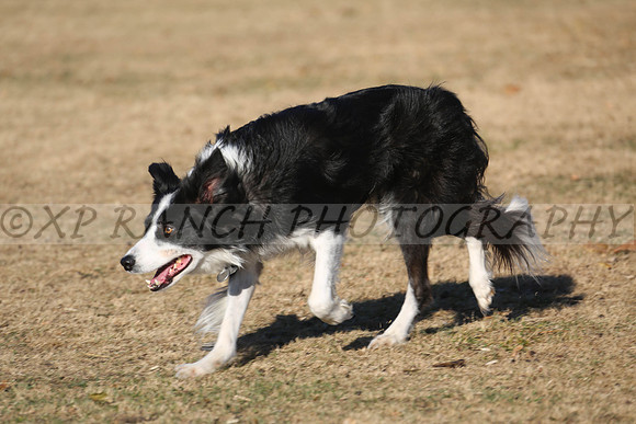 XP140793_194_2015