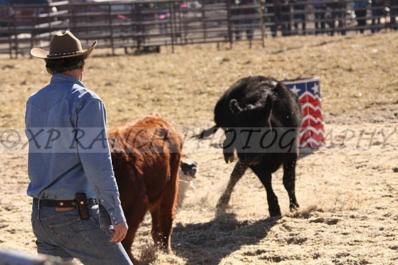 IMG_6967_31_2014