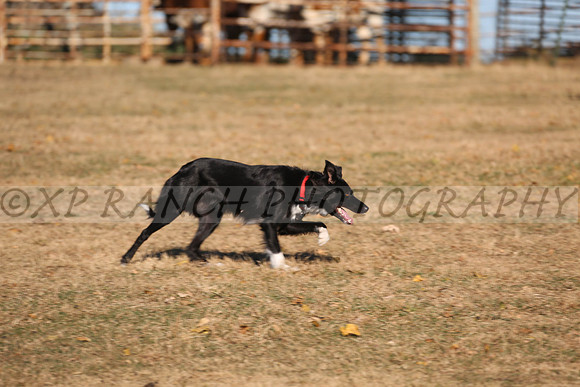 XP140719_142_2015