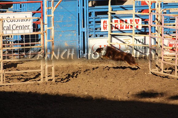 IMG_7919_5_2013