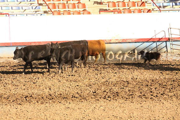 IMG_7936_22_2013