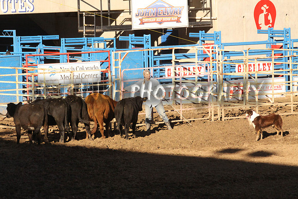 IMG_7954_40_2013