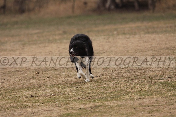IMG_0041_20_2014