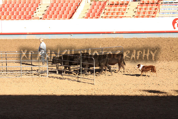 IMG_7948_34_2013