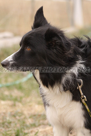 IMG_0025_4_2014