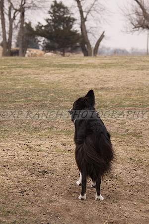 IMG_0074_53_2014