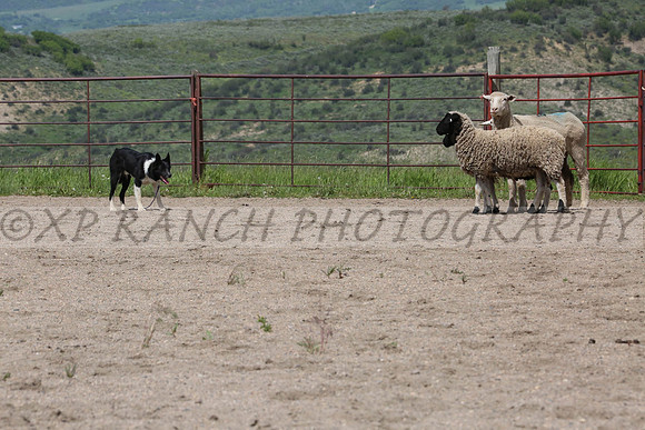 XP143401_77_2014