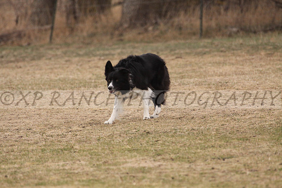 IMG_0058_37_2014