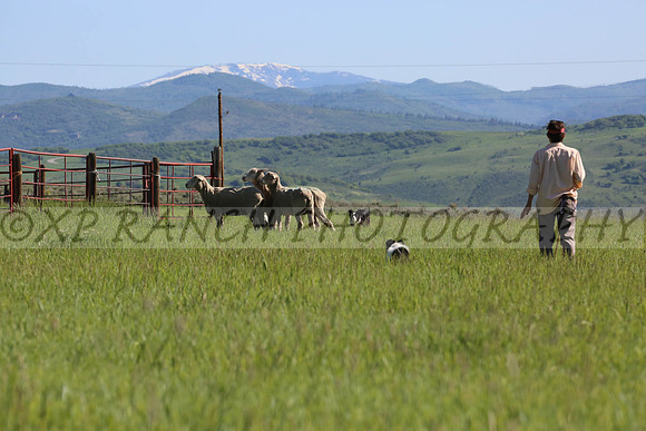 XP143738_121_2014