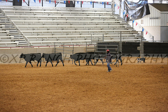 XP145580_25_2017