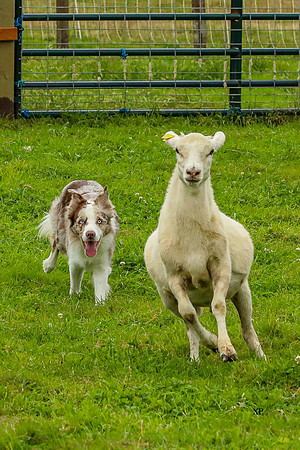 3C9A4712