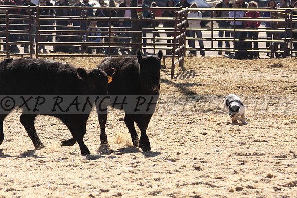 IMG_6964_28_2014