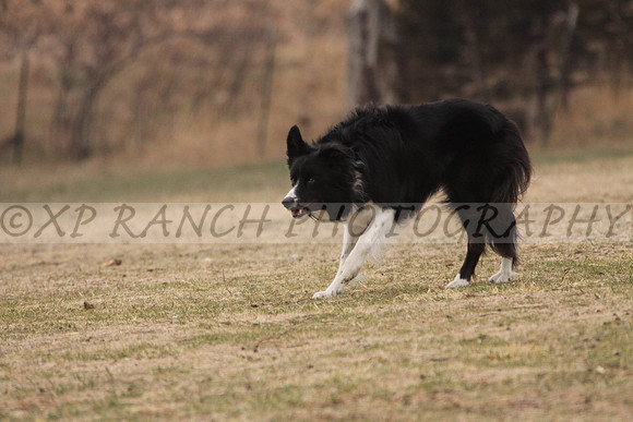 IMG_0065_44_2014