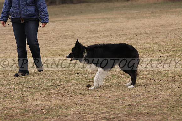 IMG_0044_23_2014