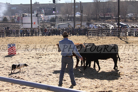 IMG_6968_32_2014