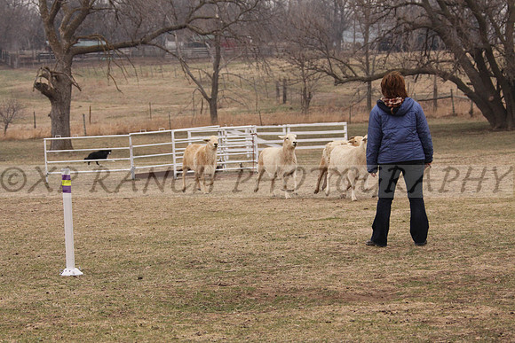 IMG_0045_24_2014