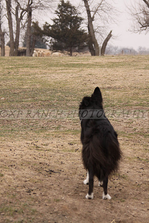 IMG_0073_52_2014