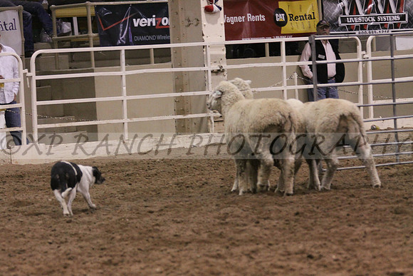 IMG_7489_33_2014