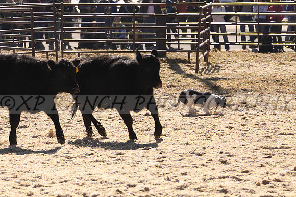 IMG_6963_27_2014