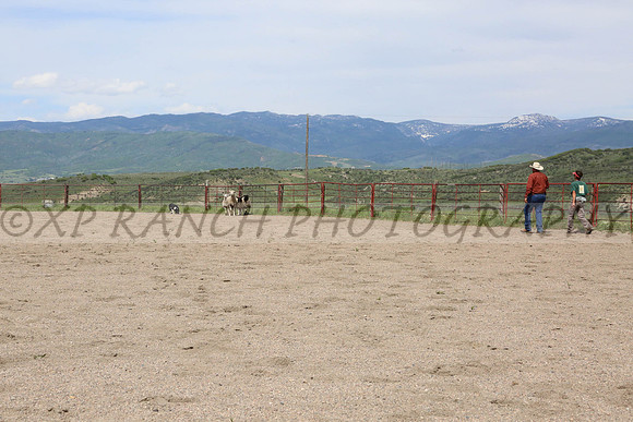 XP143397_73_2014