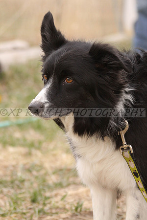 IMG_0026_5_2014