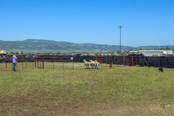 3C9A4499