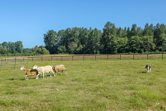 3C9A1880