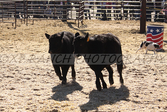 IMG_6965_29_2014