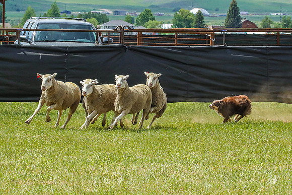 3C9A0181
