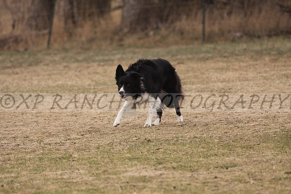 IMG_0057_36_2014