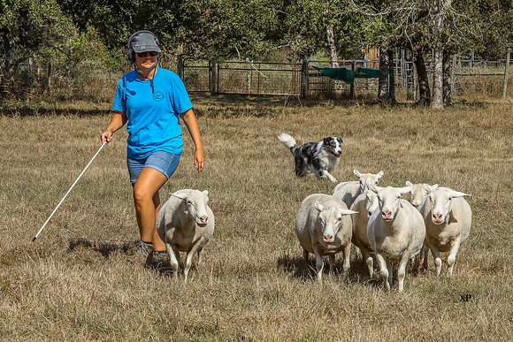3C9A6072
