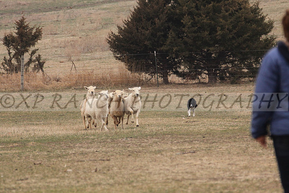 IMG_0034_13_2014