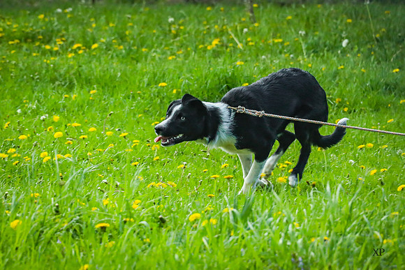 3C9A1037