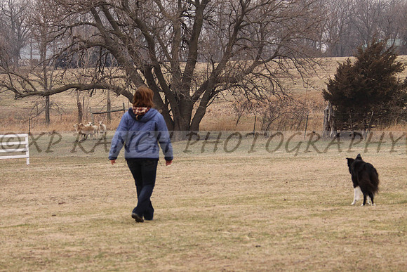 IMG_0031_10_2014