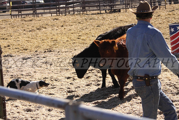 IMG_6966_30_2014