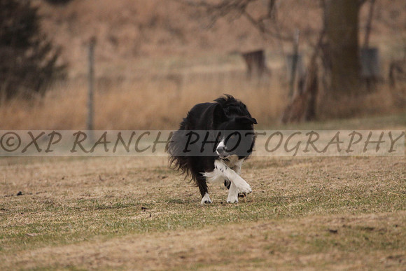 IMG_0061_40_2014