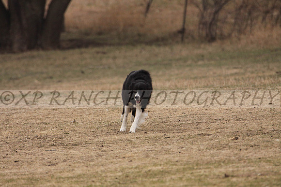 IMG_0038_17_2014