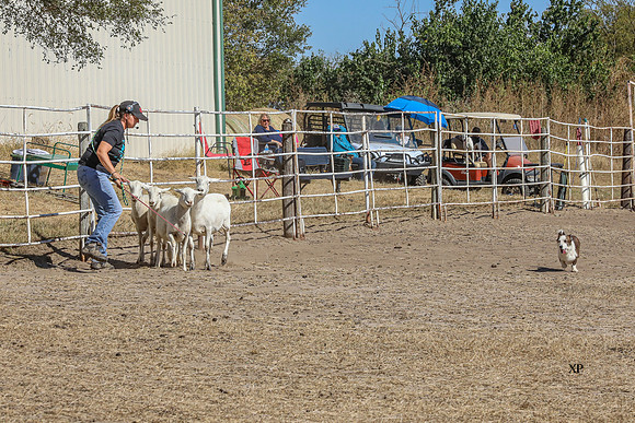 3C9A5770
